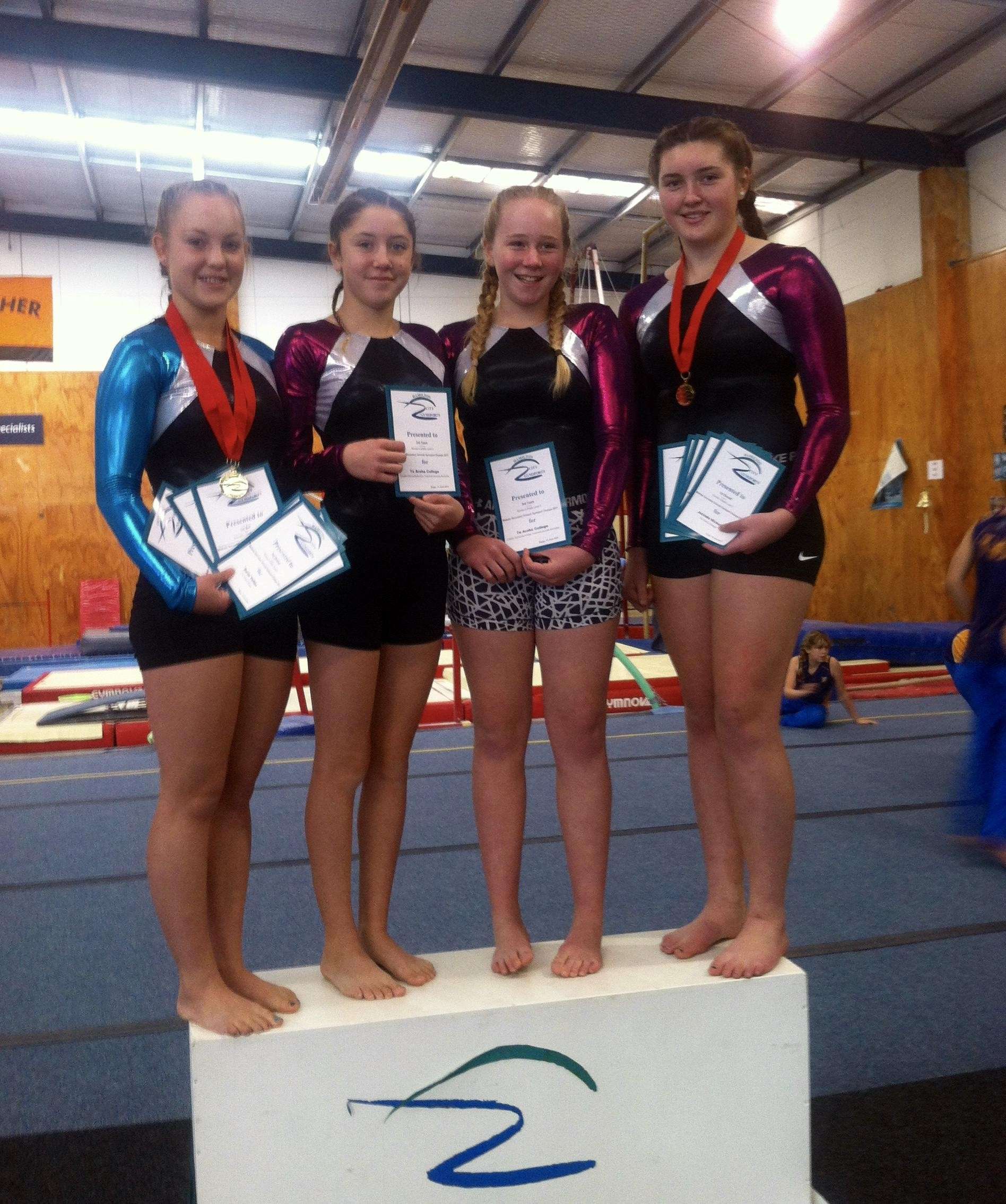 Waikato Secondary Schools Gymsports Festival